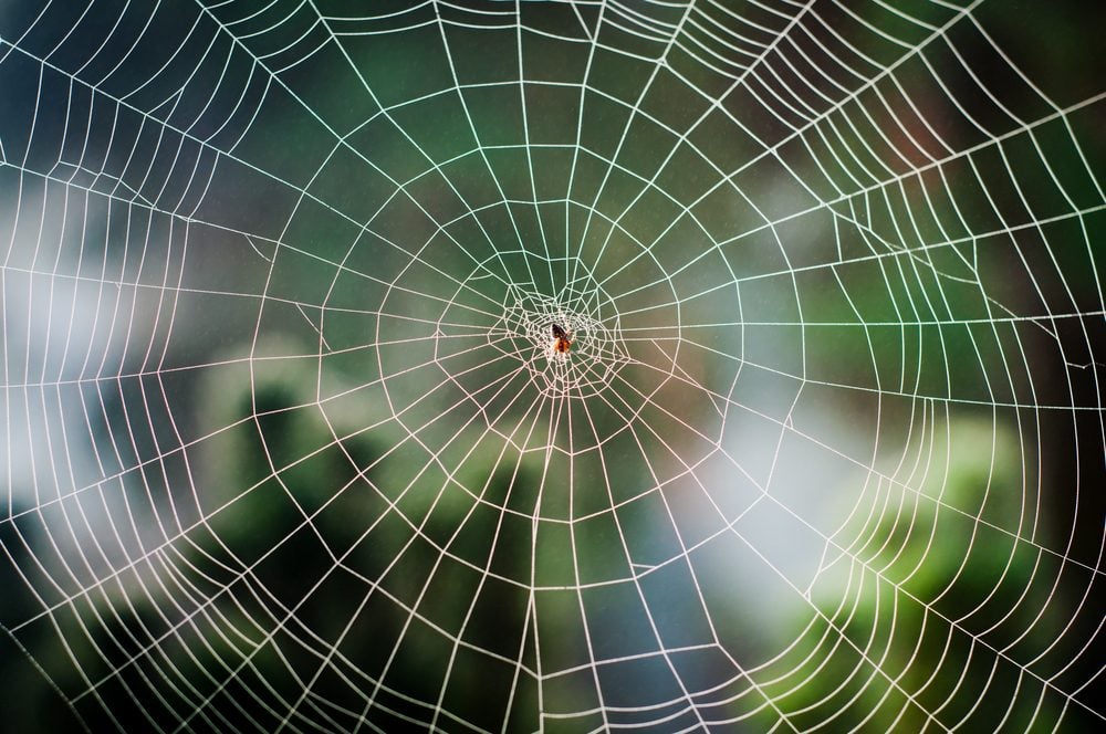 Web-based Applications